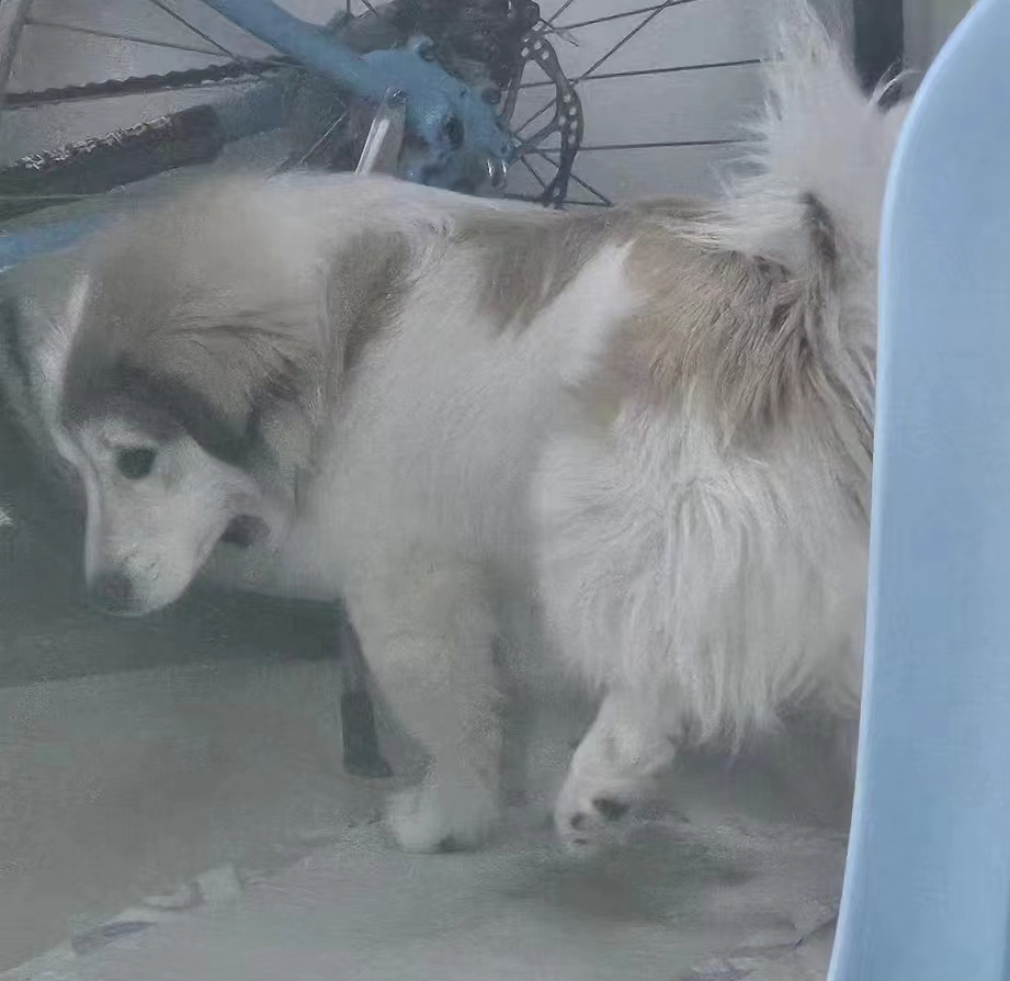 打赏二维码